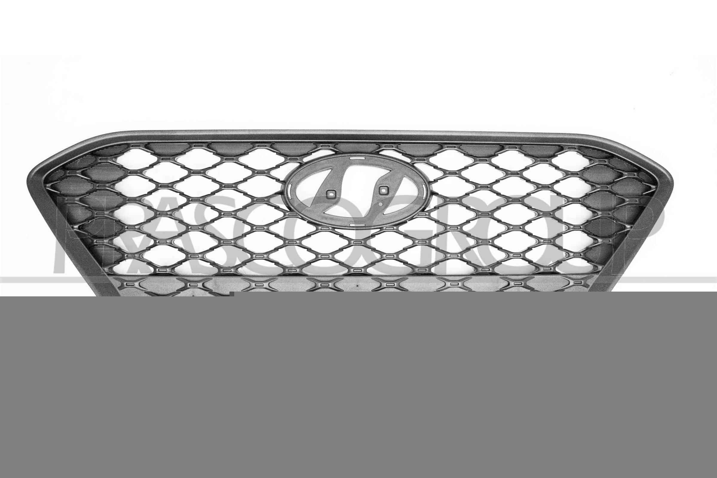 PRASCO Jäähdyttimen säleikkö HN4502001 Hyundai Sonata EF etusäleikkö PRASCO HN4502001