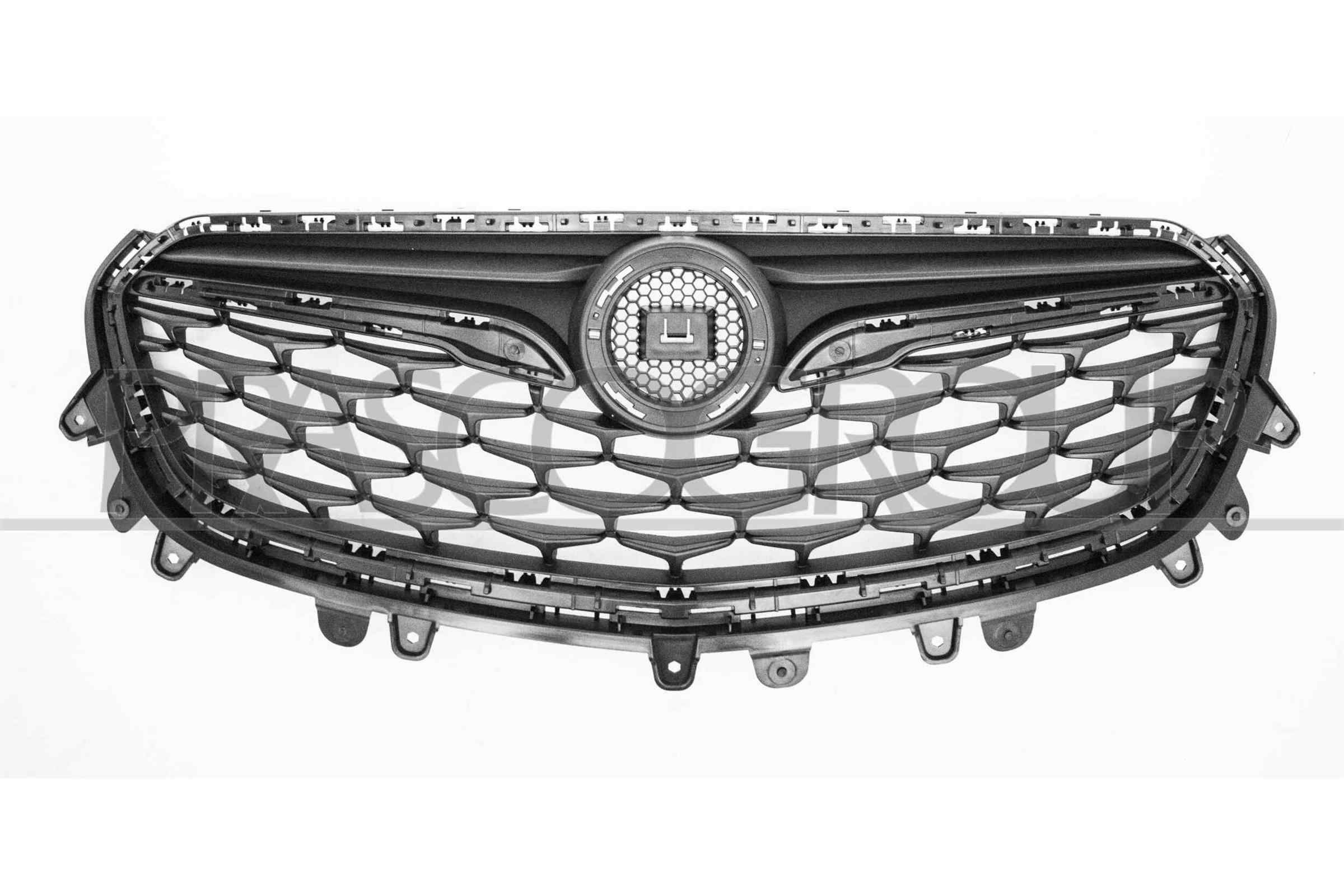 Radiator grill PRASCO OP7022001 PRASCO OP7022001 Radiator grille Opel OMEGA 2001