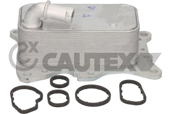 CAUTEX Radiatore olio motore 751804 751804 Radiatore raffreddamento olio motore CAUTEX Mini