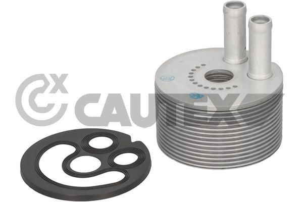 CAUTEX Chladič motorového oleja 751831 751831 Olejový chladič RENAULT SCÉNIC CAUTEX