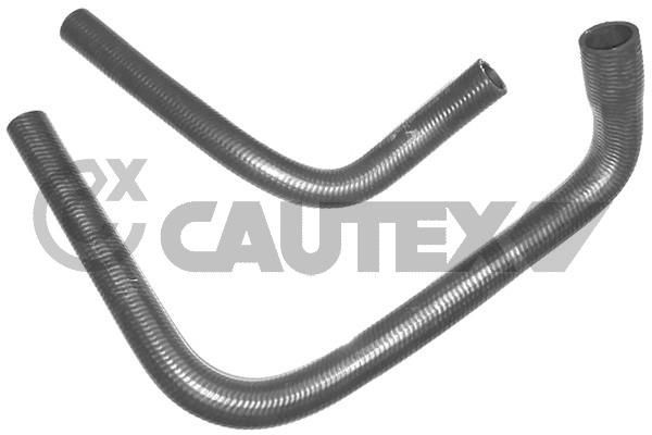CAUTEX Slange, varmeveksler-radiator 751901 751901 Slange, varmeutveksler-oppvarming FORD FOCUS CAUTEX