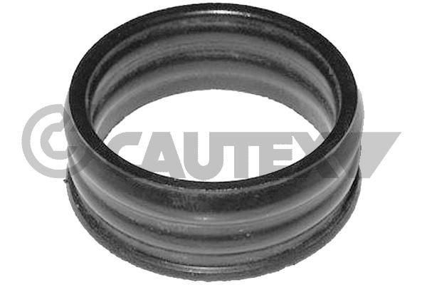 CAUTEX Packning, vattenpump 751981 751981 CAUTEX kylsystsemstätningar CITROЁN BERLINGO