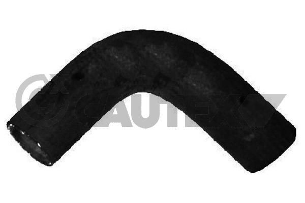 Flessibile radiatore CAUTEX 752948 CAUTEX 752948 costo Tubi radiatore Alfa Romeo 166 2006