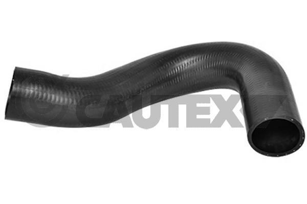 CAUTEX Gaine de suralimentation 753069 Peugeot 307 Durite de turbo CAUTEX 753069