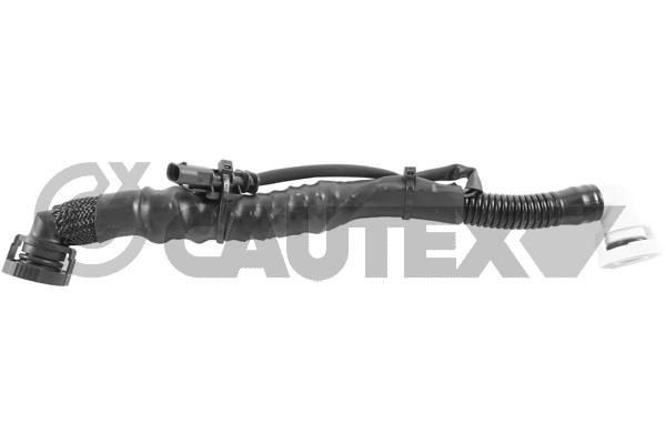 CAUTEX Slang, ventilkåpsventilation 753130 753130 CAUTEX slang, ventilkåpsventilation FORD FIESTA