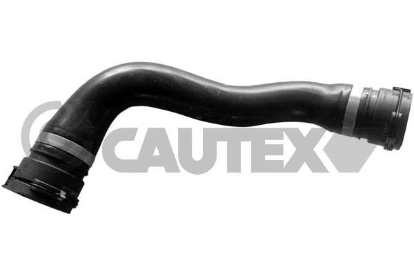 CAUTEX Flessibile radiatore 754122 754122 CAUTEX Tubo raffreddamento motore auto