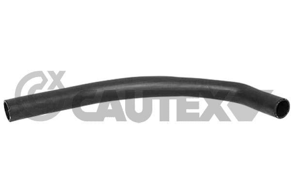 CAUTEX Jäähdyttimen letku 754136 754136 CAUTEX Jäähdyttimen letku MERCEDES-BENZ VIANO