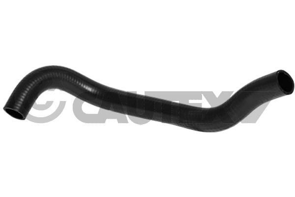 CAUTEX Jahutusvoolik 754211 Jahutusvoolik CAUTEX Hyundai ACCENT 754211