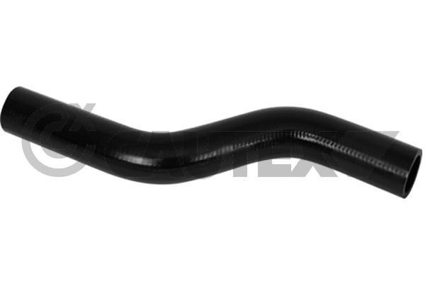 CAUTEX Tubo flexível do radiador 754212 754212 Tubo de radiador KIA CERATO CAUTEX