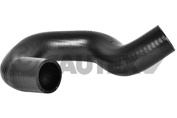 CAUTEX Hadica chladenia 754282 Chladičové hadice NISSAN CAUTEX 754282