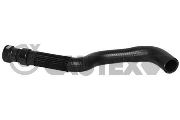 CAUTEX Durite de refroidissement 754352 Ford FOCUS Durite de radiateur CAUTEX 754352