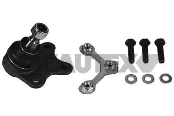 CAUTEX Bærekugle 755031 Bærekugle CAUTEX Ford TRANSIT 755031