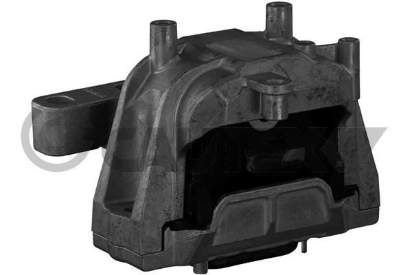 CAUTEX Ulożenie motora 756507 756507 Silentblok motora CAUTEX VOLKSWAGEN PASSAT