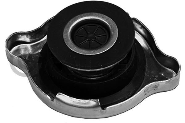 CAUTEX Tampa de fecho, recipiente de líquido de refrigeração 756758 756758 CAUTEX Tampa de fecho recipiente de líquido de refrigeração Ford USA baratos