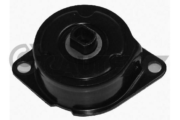 CAUTEX Napinák rebrovaného klinového remeňa 756819 756819 Napínacie rameno rebrovaného klinového remeňa Volkswagen AMAROK CAUTEX