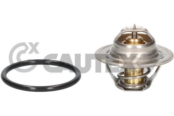 CAUTEX Termostat chladenia 756882 Termostat CAUTEX Hyundai ELANTRA 756882