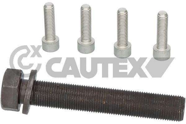 CAUTEX Sada skrutiek ozubeného kola kľukového hriadeľa 757040 Skrutka remenice CAUTEX LAGUNA 757040 lacné