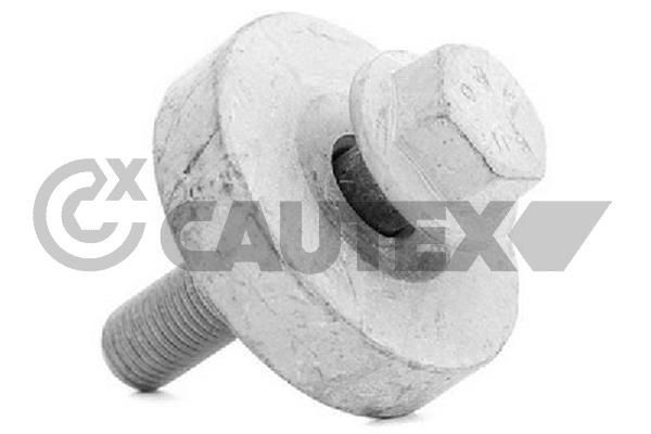 CAUTEX Skrutka remenice 757050 757050 Skrutka remenice RENAULT LAGUNA CAUTEX