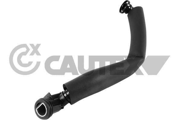 CAUTEX Kurbelgehäuseentlüftung-Schlauch 757365 Kurbelgehäuseentlüftung ventil CAUTEX Citroën C3 757365