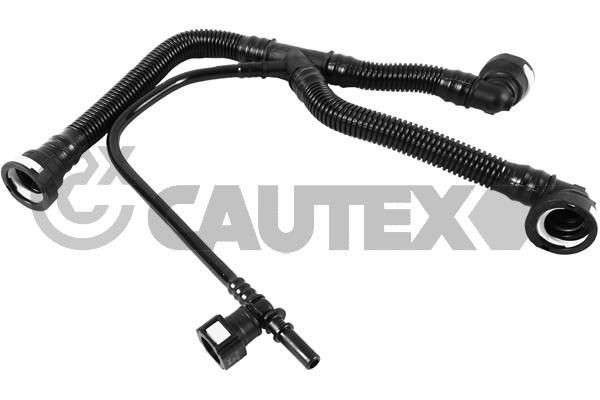 CAUTEX Slang, ontluchting motorblok 757375 757375 Carterventilatie PEUGEOT 308 CAUTEX