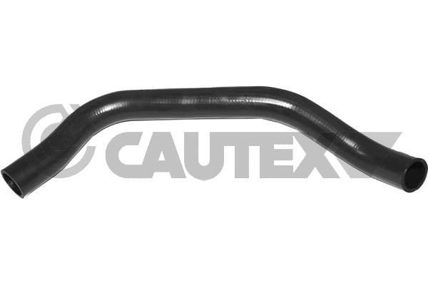 CAUTEX Jahutusvoolik 757965 757965 Jahutusvoolik HYUNDAI ACCENT CAUTEX