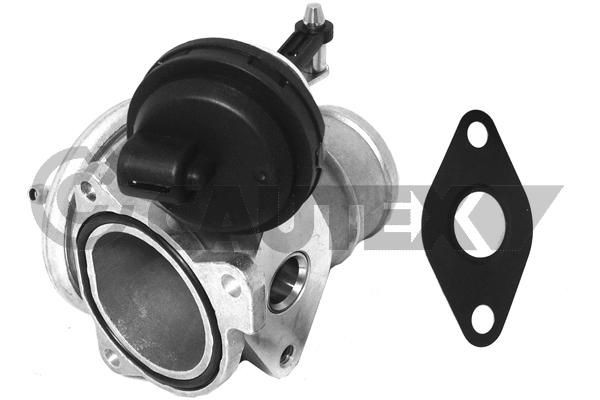 CAUTEX Vārsts, Izplūdes gāzu recirkulācija-Izpl. gāzu vadība 960040 960040 EGR vārsts Volkswagen PASSAT CAUTEX