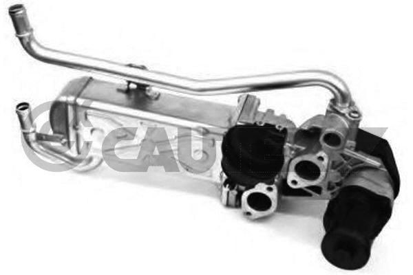 CAUTEX Vārsts, Izplūdes gāzu recirkulācija-Izpl. gāzu vadība 960048 960048 EGR vārsts Volkswagen PASSAT CAUTEX