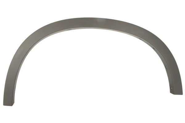 BLIC Modanatura decorativa / protettiva, Parafango 5703-04-0082423P 5703-04-0082423P Modanatura BMW X6 BLIC costo