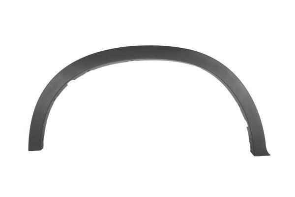BLIC Modanatura decorativa / protettiva, Parafango 5703-04-0097596P 5703-04-0097596P costo Modanatura BMW X6 BLIC