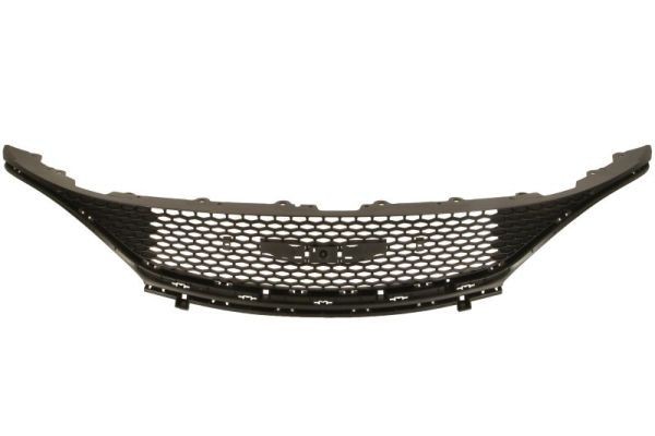 Griglia radiatore BLIC 6502-07-0941990P BLIC 6502-07-0941990P Griglia Chrysler 300 2019