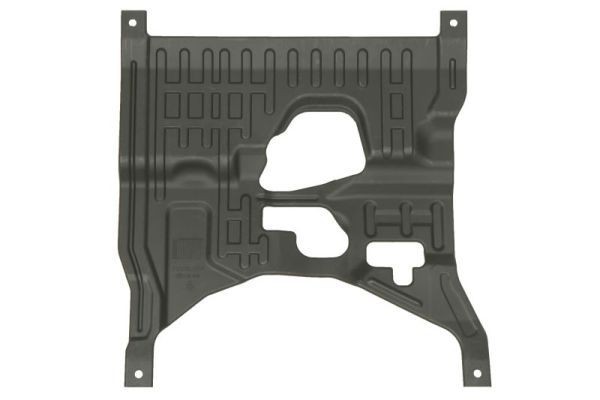 BLIC Motorabdeckung 6601-02-0553860Q 6601-02-0553860Q BLIC VW MULTIVAN Motor Unterfahrschutz Kosten