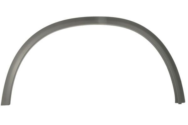 BLIC Sier- / beschermingspaneel, spatbord 6601-02-3531421P 6601-02-3531421P Sierlijst MERCEDES-BENZ 124-serie BLIC