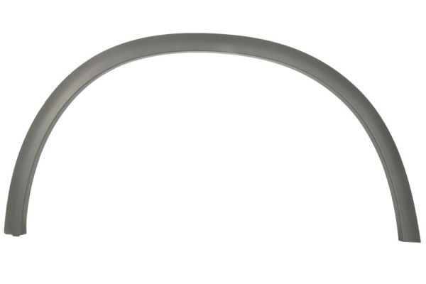 BLIC Suoja- / koristelista, lokasuoja 6601-02-3531422P 6601-02-3531422P BLIC Koristelista MERCEDES-BENZ