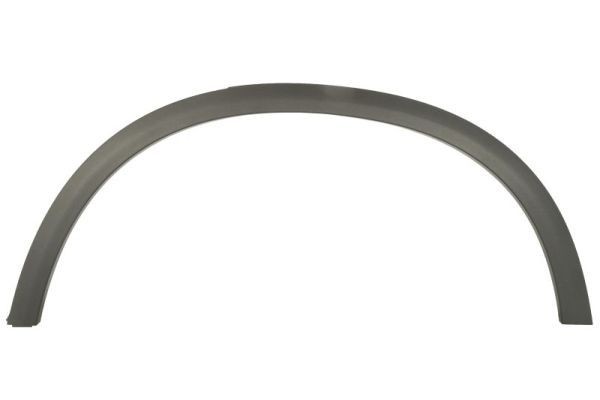 BLIC Suoja- / koristelista, lokasuoja 6601-02-3531423P MERCEDES-BENZ Koristelista BLIC 6601-02-3531423P