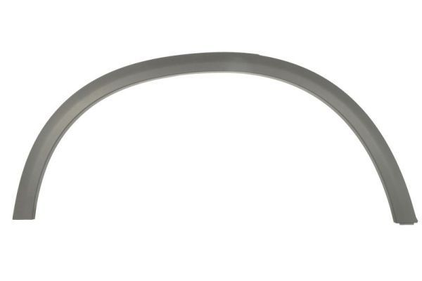 BLIC Pynte- / beskyttelsesliste, skærm 6601-02-3531424P 6601-02-3531424P Skærmkanter MERCEDES-BENZ SLK BLIC