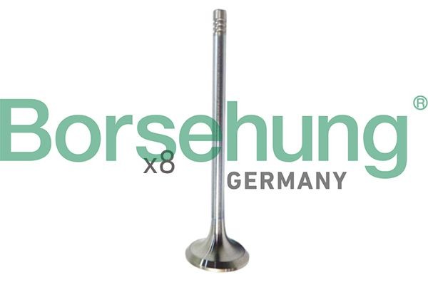 Borsehung Insugsventil B10322 Borsehung B10322 Insugsventil Fabia III Kombi (NJ5) original