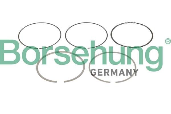 Borsehung Jeu de segments de pistons B10361 Volkswagen PASSAT Segment moteur Borsehung B10361