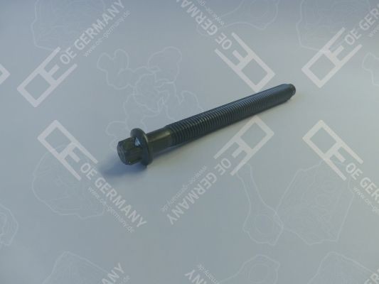 OE Germany Klapikaanekruvi 04 0121 101300 04 0121 101300 Klapikaanekruvikomplekt OE Germany RENAULT KANGOO