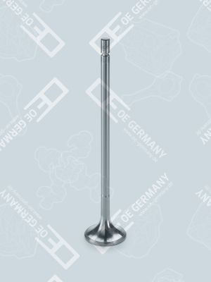 OE Germany Exhaust valve 06 0520 XF1051 OE Germany Exhaust valve 06 0520 XF1051 experience