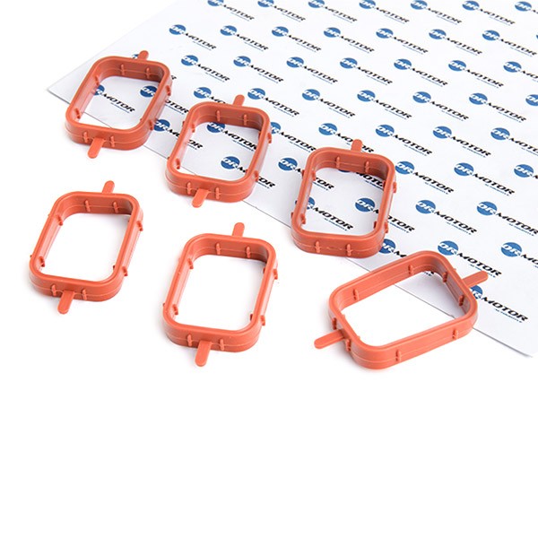 DR.MOTOR AUTOMOTIVE Blīvju komplekts, Ieplūdes kolektors DRM0110S Ieplūdes kolektora blīve DR.MOTOR AUTOMOTIVE Opel ASTRA DRM0110S