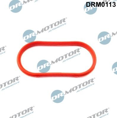 DR.MOTOR AUTOMOTIVE Τσιμούχα, πολλαπλή εξαγωγή DRM0113 Τσιμούχα πολλαπλή εξαγωγή DR.MOTOR AUTOMOTIVE STARLET DRM0113 φθηνά