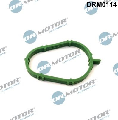 DR.MOTOR AUTOMOTIVE Τσιμούχα, πολλαπλή εξαγωγή DRM0114 Τσιμούχα πολλαπλή εξαγωγή DR.MOTOR AUTOMOTIVE Toyota STARLET DRM0114