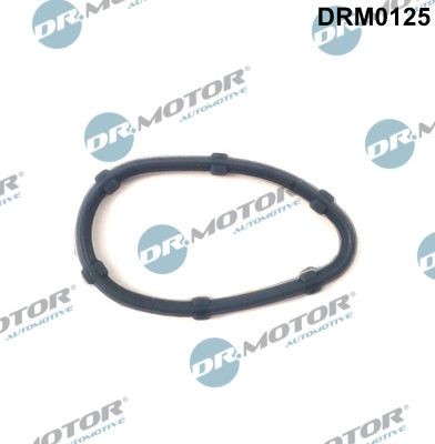 DR.MOTOR AUTOMOTIVE Guarnizione collettore scarico DRM0125 DRM0125 costo Guarnizione collettore scarico DR.MOTOR AUTOMOTIVE RENAULT LAGUNA