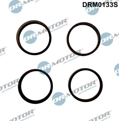DR.MOTOR AUTOMOTIVE Kit guarnizioni, Collettore aspirazione DRM0133S DR.MOTOR AUTOMOTIVE DRM0133S Guarnizione collettore aspirazione VW Fox 5z1 prezzo
