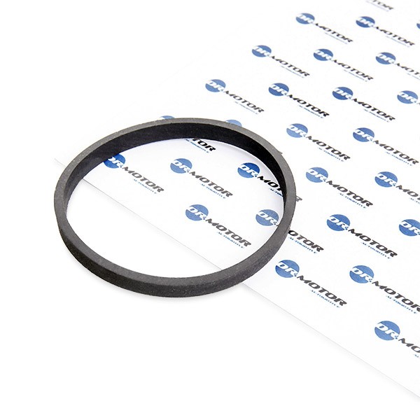 DR.MOTOR AUTOMOTIVE Inlet manifold gasket DRM0134 Renault TWINGO DR.MOTOR AUTOMOTIVE inlet manifold gasket DRM0134