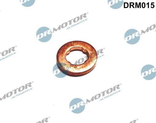 DR.MOTOR AUTOMOTIVE Kaitseseib, sissepritsesüsteem DRM015 DR.MOTOR AUTOMOTIVE DRM015 Kütusesüsteem CITROЁN Relay II Van (250) 2009