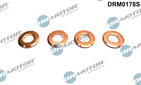 DR.MOTOR AUTOMOTIVE Tihendikomplekt, Sissepritsedüüs DRM0178S DRM0178S Rõngastihend sissepritseklapp LAND ROVER DEFENDER DR.MOTOR AUTOMOTIVE
