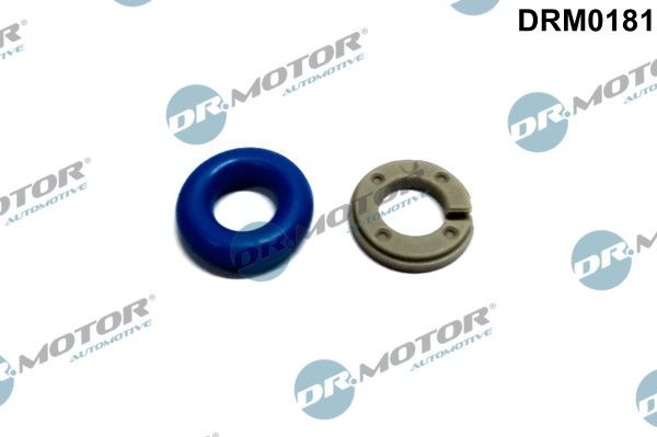 DR.MOTOR AUTOMOTIVE Σετ επισκευής, μπεκ DRM0181 DRM0181 Σετ επισκευής, μπεκ CITROËN C3 DR.MOTOR AUTOMOTIVE
