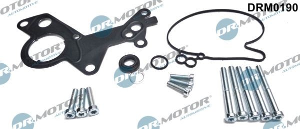 DR.MOTOR AUTOMOTIVE Reparatorsett, undertrykkspumpe (bremseanlegg) DRM0190 DR.MOTOR AUTOMOTIVE DRM0190 Vakuumpumpe for bremsekraftforsterker Kushaq (PA1) originale pris