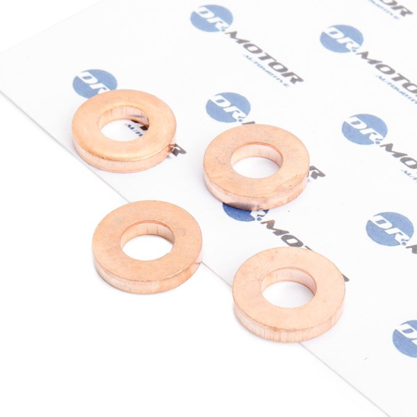 DR.MOTOR AUTOMOTIVE Brandplaatjes, injectiesysteem DRM020S DR.MOTOR AUTOMOTIVE DRM020S Brandplaatjes, injectiesysteem Renault Vel Satis BJ aan een voordelige prijs